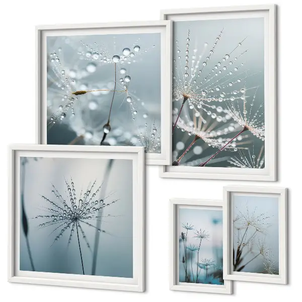 Gallery wall Water drops on plants