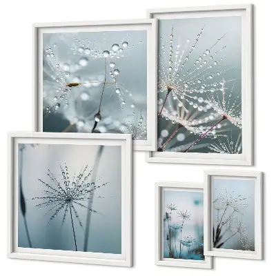 Gallery wall Water drops on plants