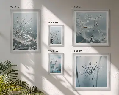 Gallery wall Water drops on plants