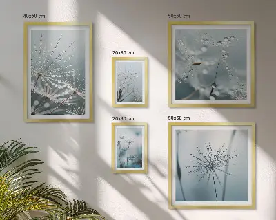 Gallery wall Water drops on plants