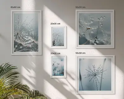 Gallery wall Water drops on plants