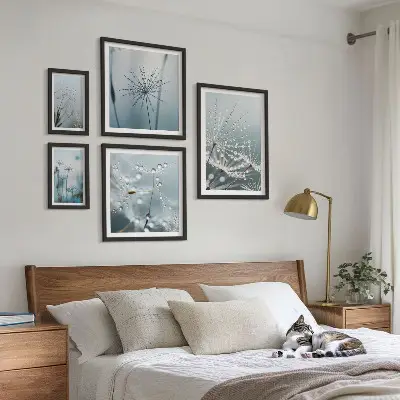 Gallery wall Water drops on plants