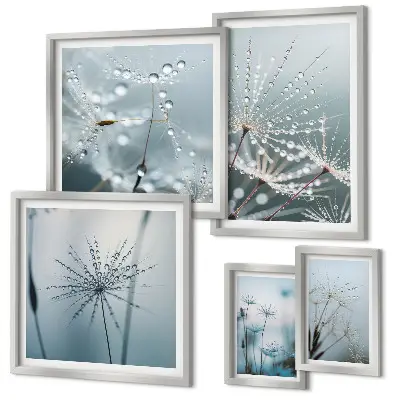 Gallery wall Water drops on plants