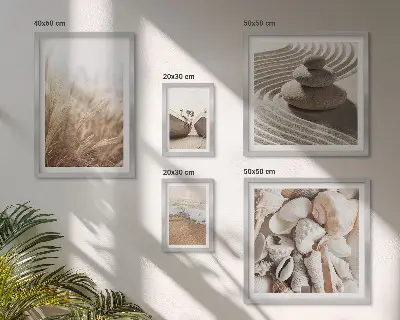 Gallery wall Seaside shells and sand