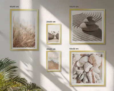 Gallery wall Seaside shells and sand