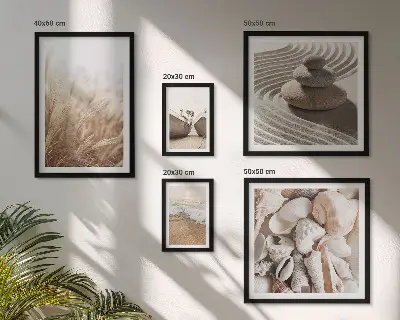 Gallery wall Seaside shells and sand
