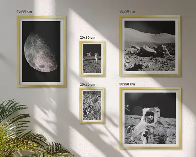 Gallery wall Astronauts' lunar landscapes