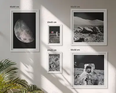 Gallery wall featuring astronaut lunar landscapes