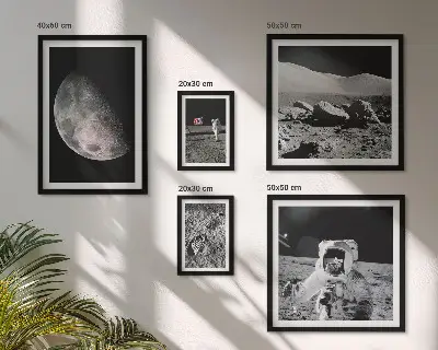 Gallery wall featuring astronaut lunar landscapes