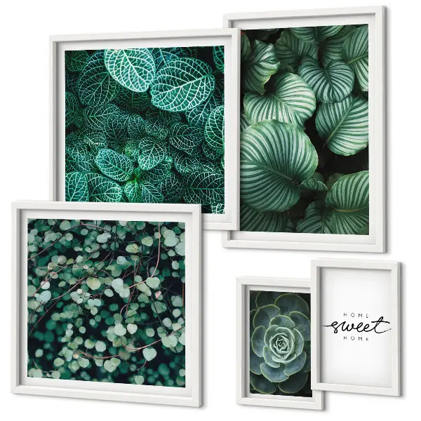 Gallery wall Green leaves modern plants