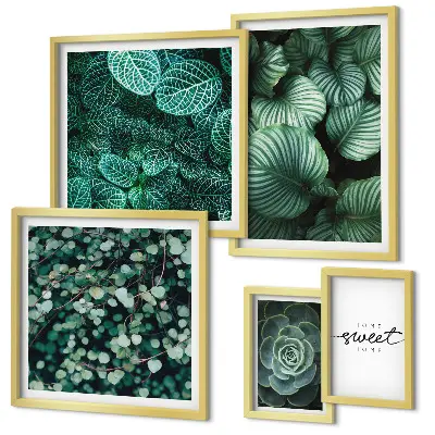 Gallery wall Green leaves modern plants