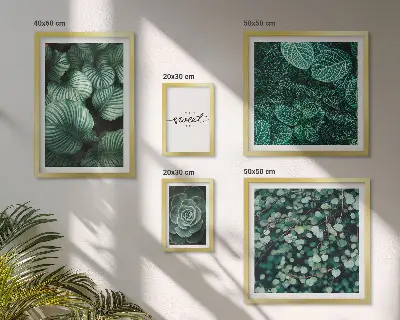 Gallery wall Green leaves modern plants