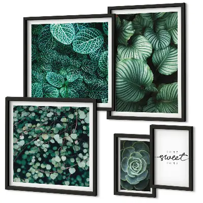 Gallery wall Green leaves modern plants