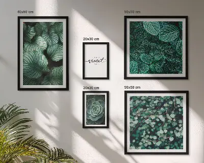 Gallery wall Green leaves modern plants