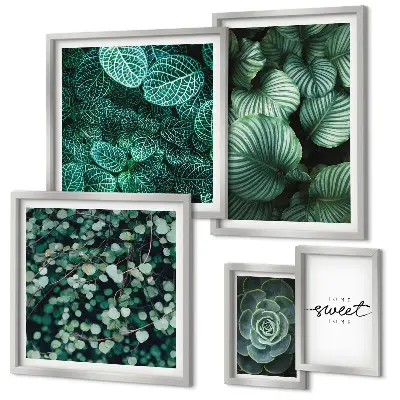 Gallery wall Green leaves modern plants