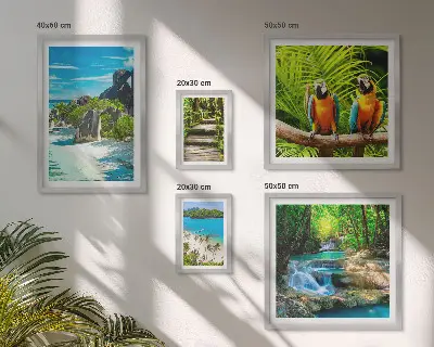 Set of 5 wall art pieces Tropical landscapes birds waterfalls