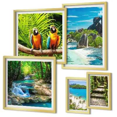 Set of 5 wall art pieces Tropical landscapes birds waterfalls