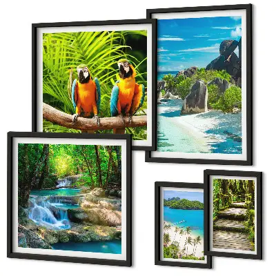 Set of 5 wall art pieces Tropical landscapes birds waterfalls