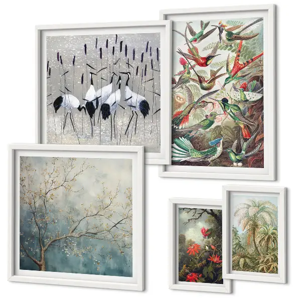 Set of 5 wall art pieces Vintage tropical birds