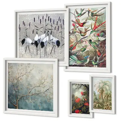 Set of 5 wall art pieces Vintage tropical birds