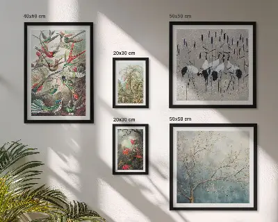 Set of 5 wall art pieces Vintage tropical birds