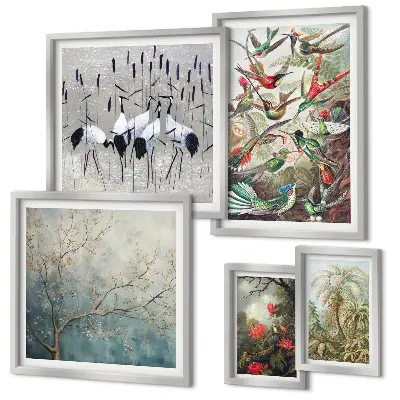 Set of 5 wall art pieces Vintage tropical birds
