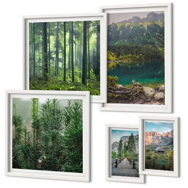 Gallery wall Mountain landscapes and forests