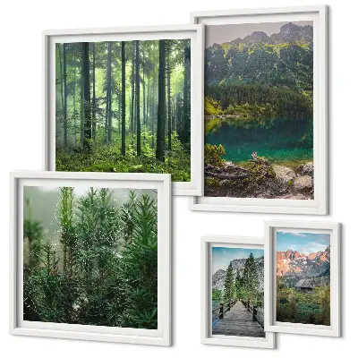 Gallery wall Mountain landscapes and forests