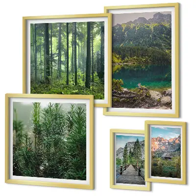 Gallery wall Mountain landscapes and forests