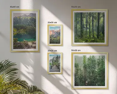 Gallery wall Mountain landscapes and forests