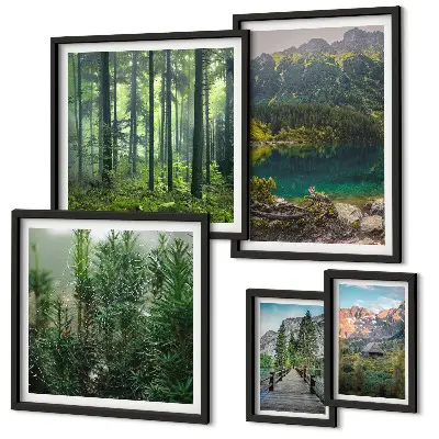Gallery wall Mountain landscapes and forests