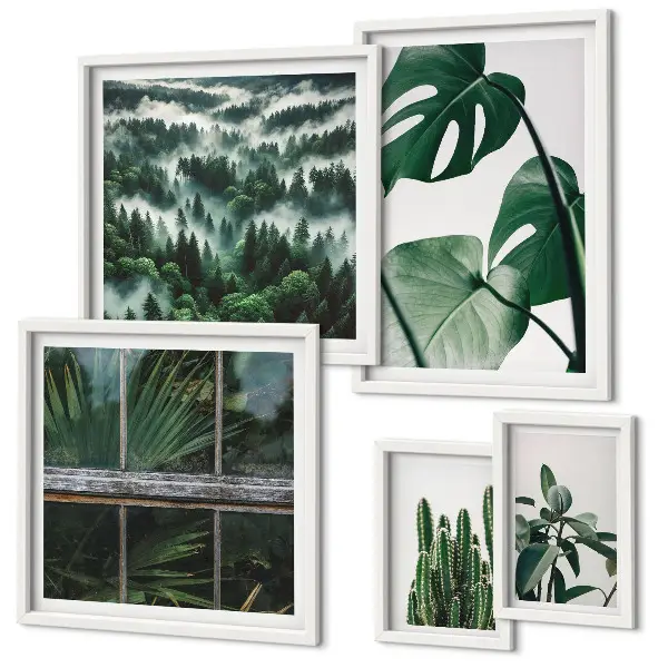 Framed photo set Plant inspirations from the tropics