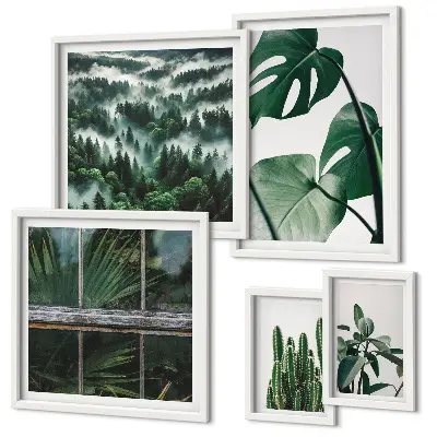 Framed photo set Plant inspirations from the tropics