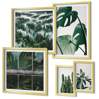 Framed photo set Plant inspirations from the tropics
