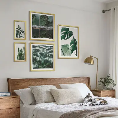 Framed photo set tropical plant inspirations