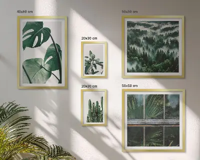 Framed photo set Plant inspirations from the tropics