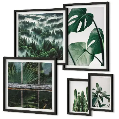 Framed photo set Plant inspirations from the tropics