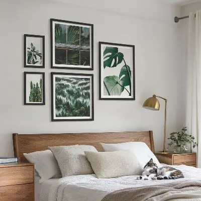 Framed photo set Plant inspirations from the tropics