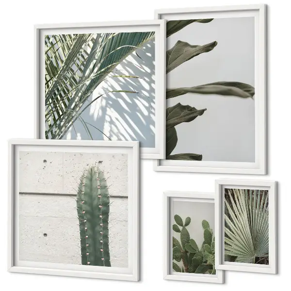 Framed plant photo set modern accents