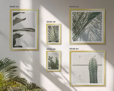 Framed photo set Modern plant accents