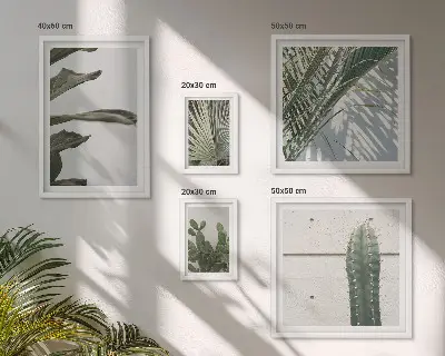 Framed photo set Modern plant accents