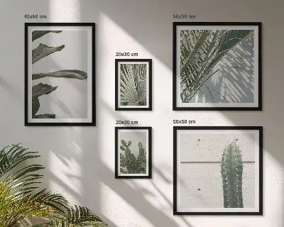 Framed photo set Modern plant accents