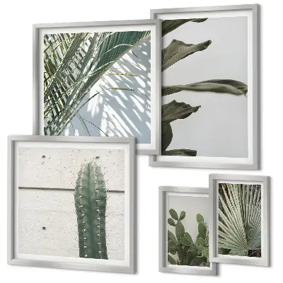 Framed plant photo set modern accents