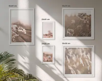 Framed photo set Floral motifs of delicate nature