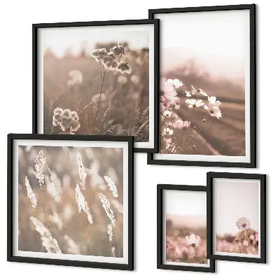 Framed photo set Floral motifs of delicate nature