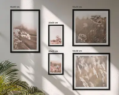 Framed photo set Floral motifs of delicate nature