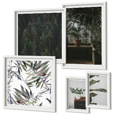 Framed photo set Green oasis plant motifs