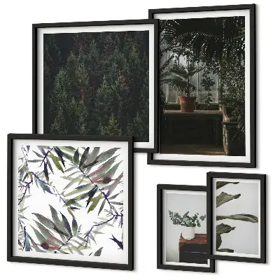 Framed photo set Green oasis plant motifs