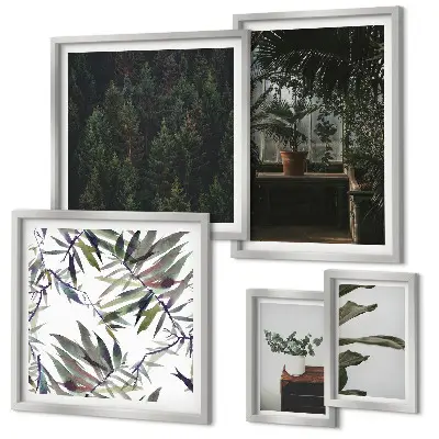 Framed photo set Green oasis plant motifs
