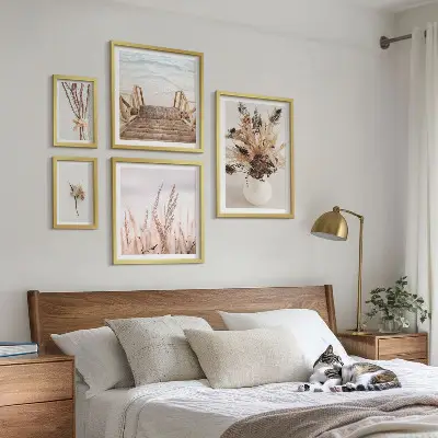 Framed photo set Stylish dried plants and water